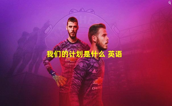 我们的计划是什么 英语